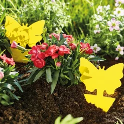 Discount Tempsl 24 attrapes moucherons et insectes