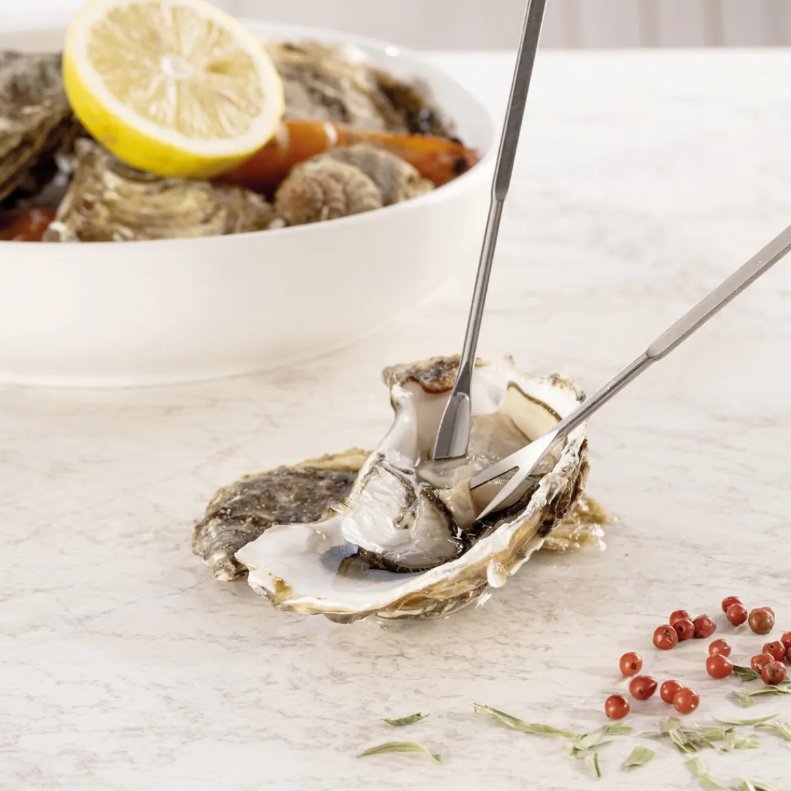 Online Tempsl 4 curettes à crustacés