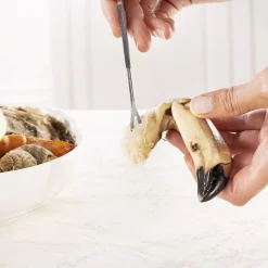 Online Tempsl 4 curettes à crustacés