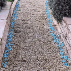 Best Tempsl 100 pierres phosphorescentes : «vertes» ou «bleues»