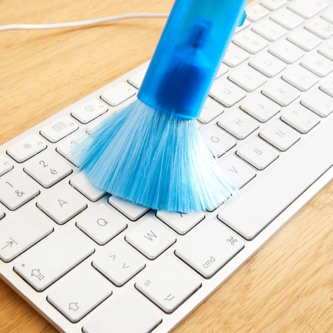 Online Tempsl 2 pinceaux nettoyeurs de clavier bleus