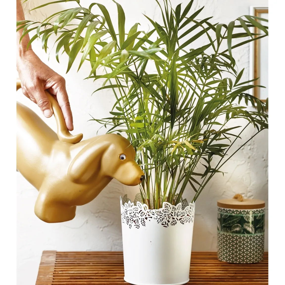 New Tempsl Arrosoir chat ou chien