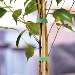 Hot Tempsl Bande auto agrippante 3 ou 5 mètres