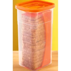 Online Tempsl Boîte conservation biscottes