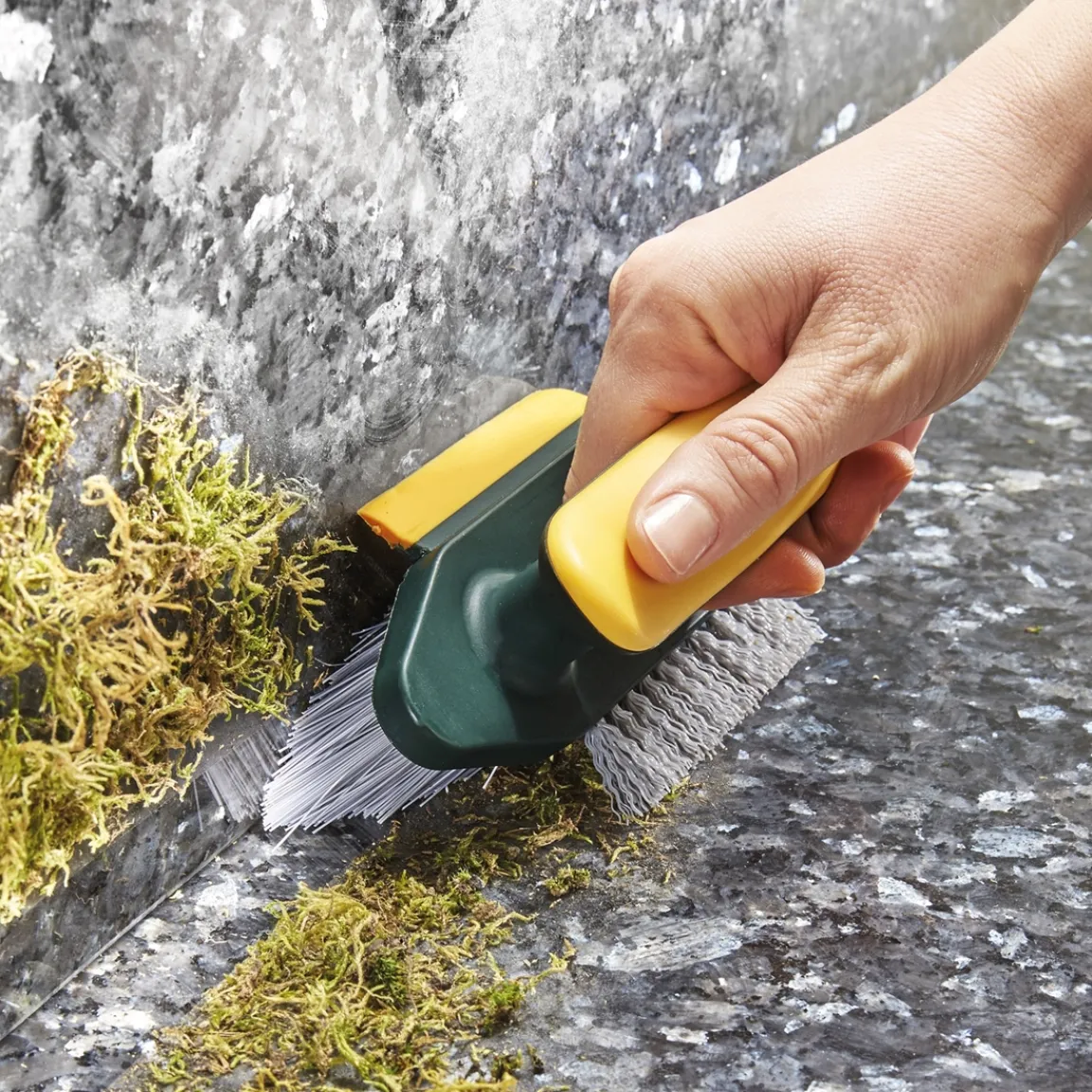 Tempsl Brosse multifonction