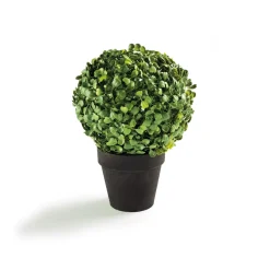 Tempsl Buis artificiel