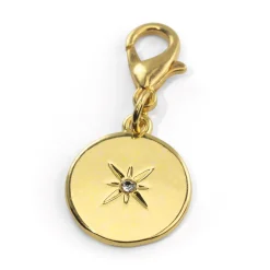 Hot Tempsl Charm étoile + attache Charm étoile + attache