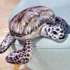 Clearance Tempsl Coussin tortue
