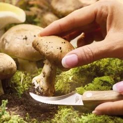 Online Tempsl Couteau champignon