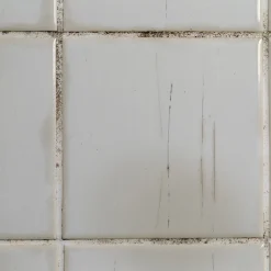 Tempsl Crème récurrente terra récur