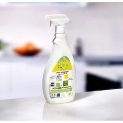 Tempsl Désinfectant King Germ