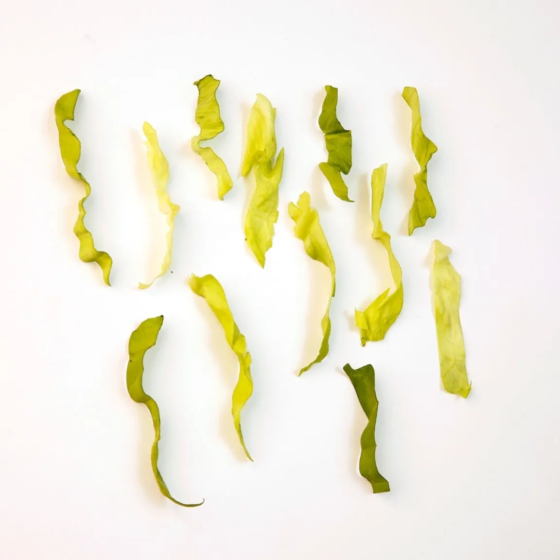 Clearance Tempsl Eminceur salade