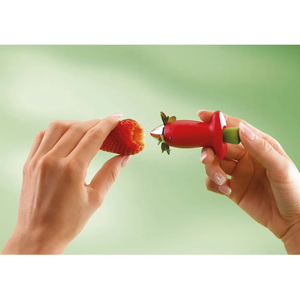 Sale Tempsl Equeuteur fraise