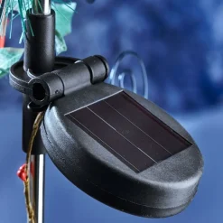 Clearance Tempsl Etoile poinsettia solaire