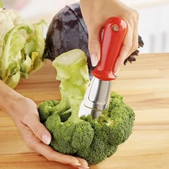 Tempsl Etrogneur choux/brocolis rouge