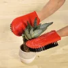 Hot Tempsl Gant pour cactus