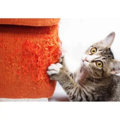 Sale Tempsl Griffoir perfect griffes