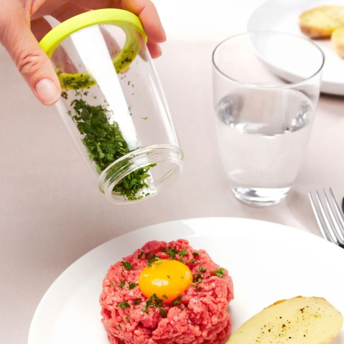 Tempsl Hachoir persil