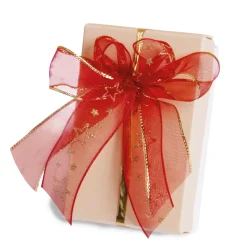 Sale Tempsl Kit pour créer des nœuds Offre Noël