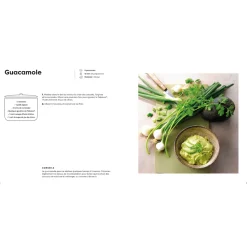 Online Tempsl Livre 100 recettes apéritives créatives