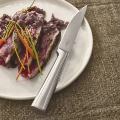 Online Tempsl Lot de 6 couteaux à steak inox PRADEL FRANCE®