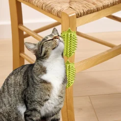 Clearance Tempsl Lot de 2 grattoirs chats