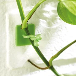 Hot Tempsl Lot de 50 guides de croissance