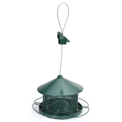 Sale Tempsl Mangeoire oiseaux