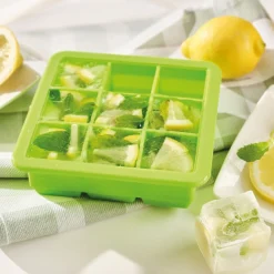 Sale Tempsl Moules à glaçons