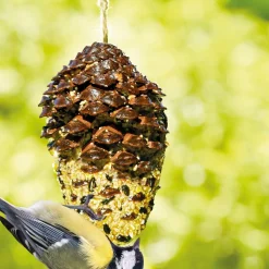 Outlet Tempsl Nourriture oiseaux pomme de pin géante