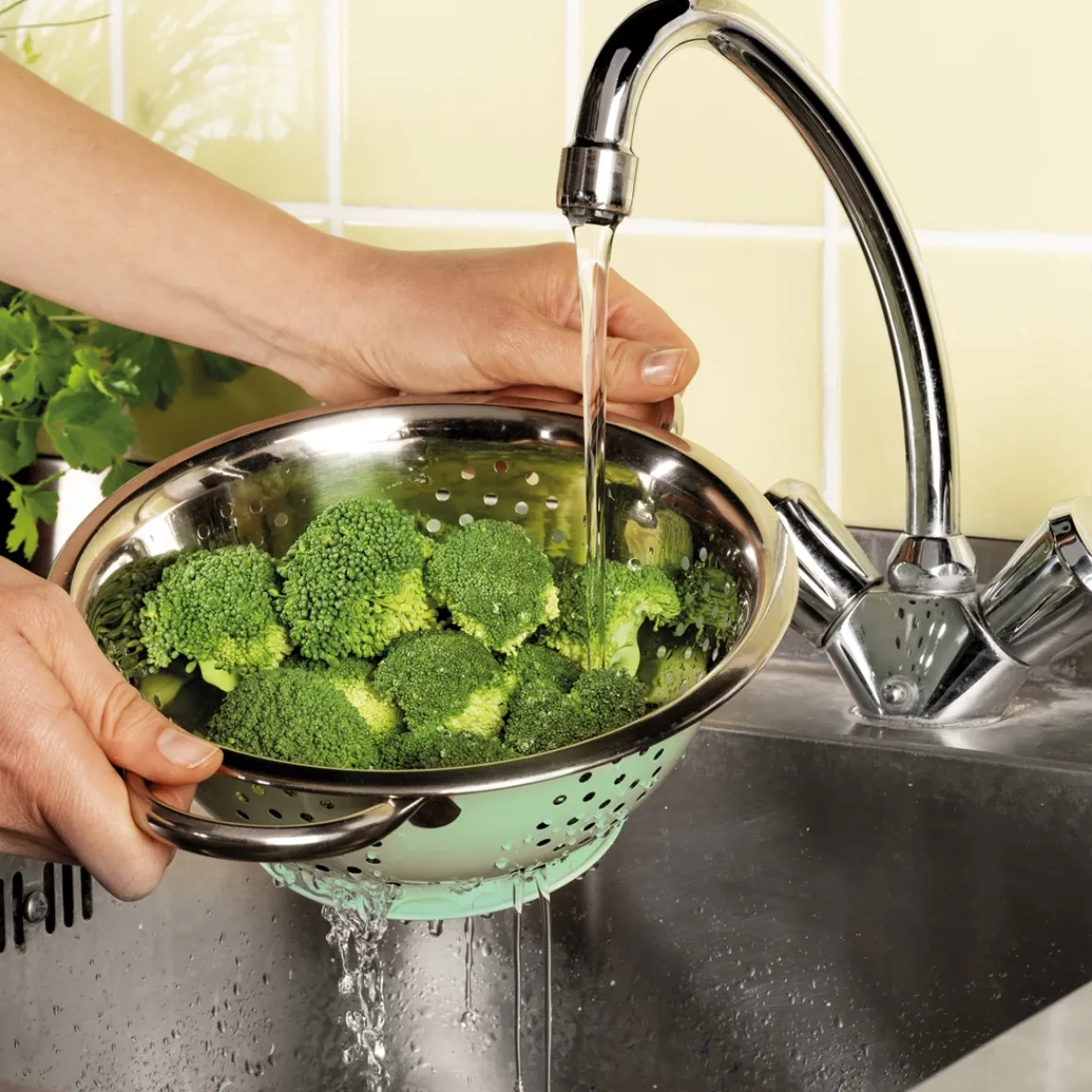 Online Tempsl Passoire vintage