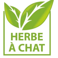 Best Tempsl Poisson clown gigotant pour chat