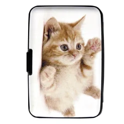 Best Tempsl Porte-cartes chaton