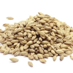 Online Tempsl Pâte orale Vermi'délice chat/chien