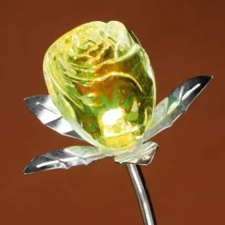 Discount Tempsl Rose changement de couleur