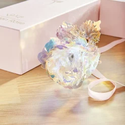 Hot Tempsl Rose dans son coffret