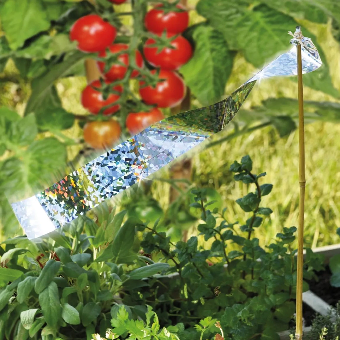 Clearance Tempsl Ruban effaroucheur