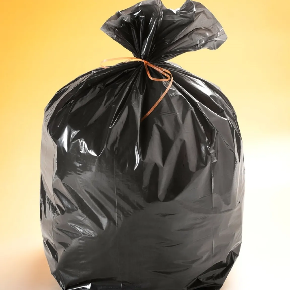 New Tempsl Sacs poubelle : 30 L, 50 L ou 100 L