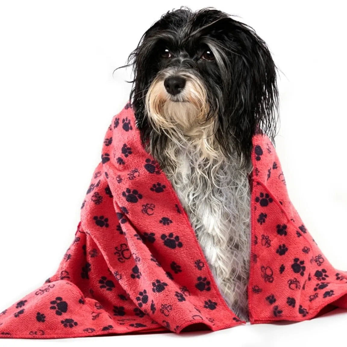 Sale Tempsl Serviette microfibre : divers coloris