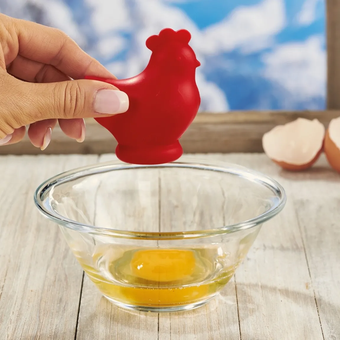 Clearance Tempsl Séparateur oeufs poule