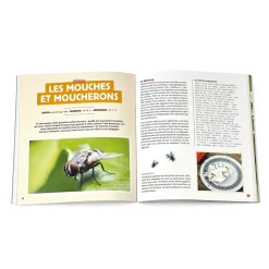 Best Tempsl Stratégie anti-bestioles à la maison