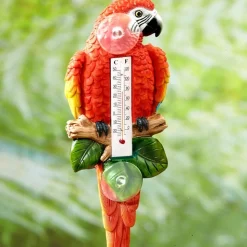 Discount Tempsl Thermomètre perroquet